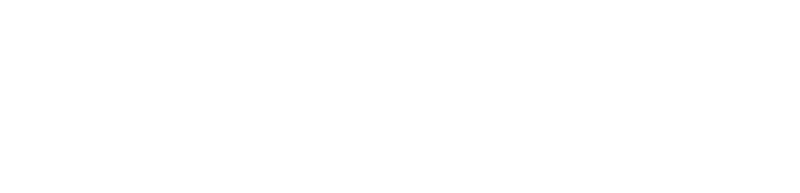 Shopify Partners